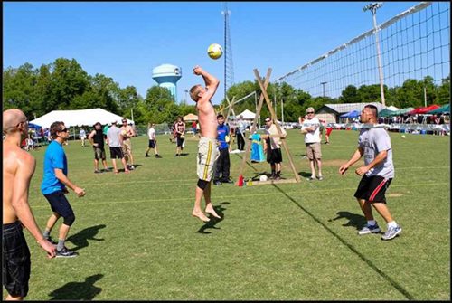 Volley ball Net Hire